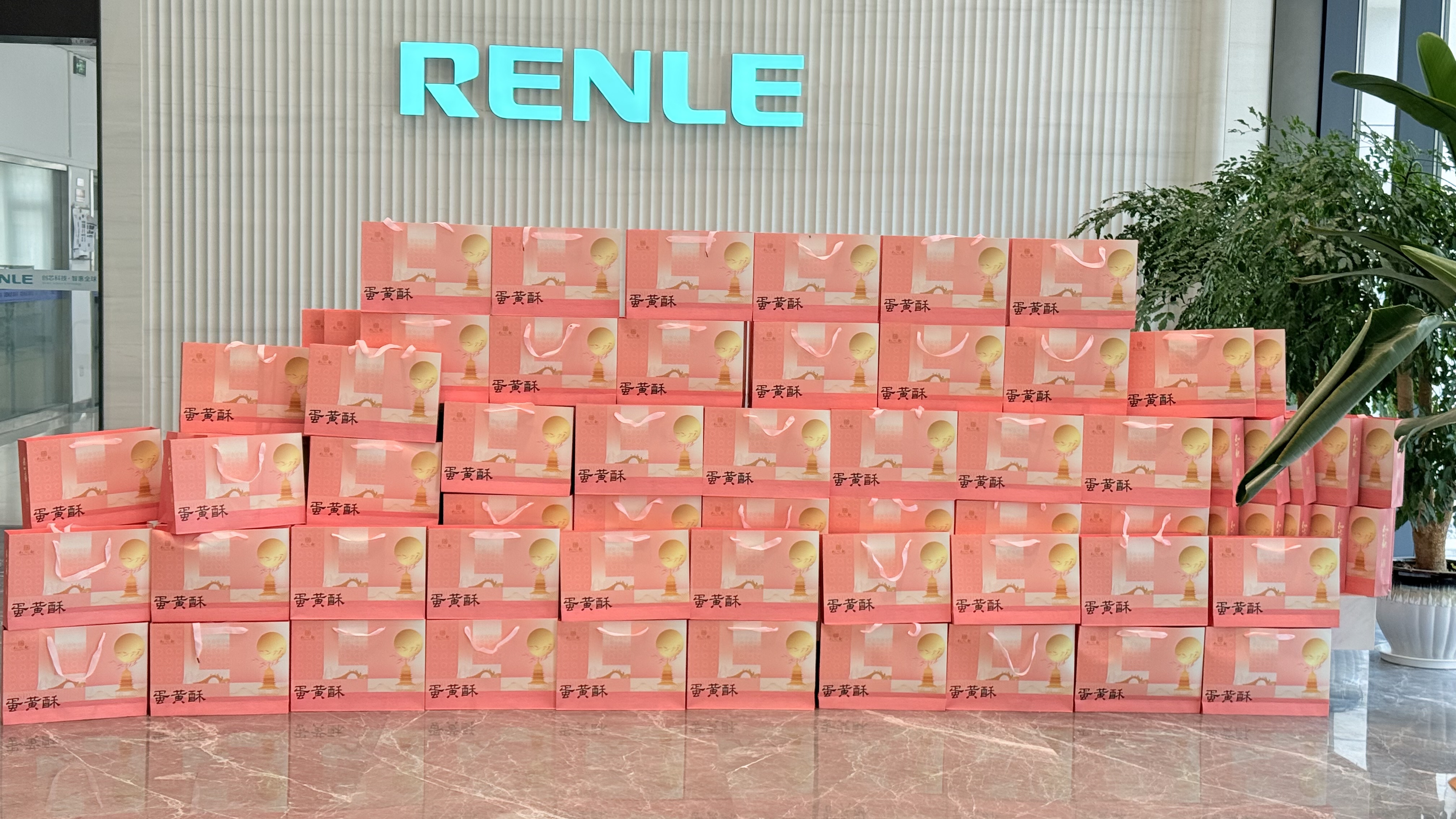 cc36f57d-6c12-4108-8d2b-4a320eb6205b.jpg